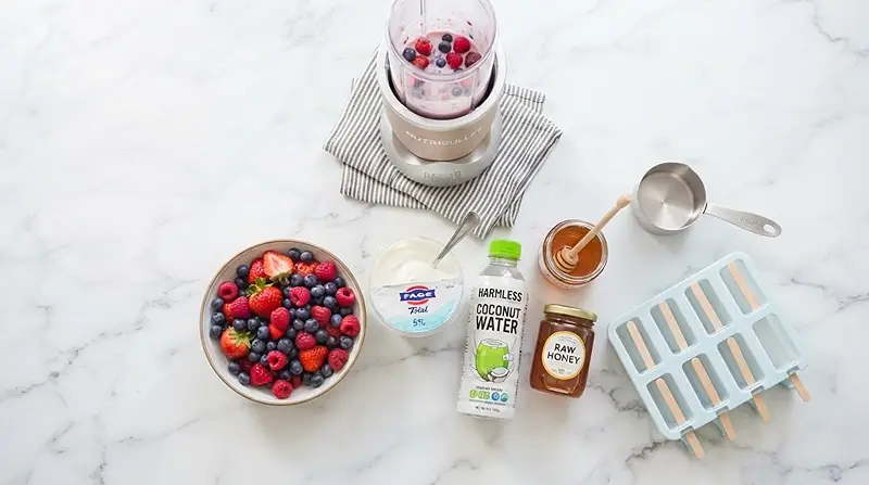 Berry Electrolyte Yogurt Pops 2 ingredients for Berry Electrolyte Yogurt Pops